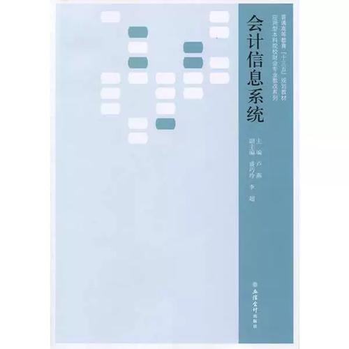 正版图书丨 会计信息系统卢燕盛巧玲李超立信会计出版社9787542949394